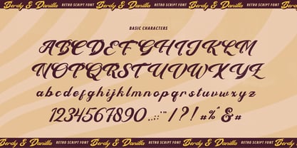 Berdy Danilla Font Poster 13