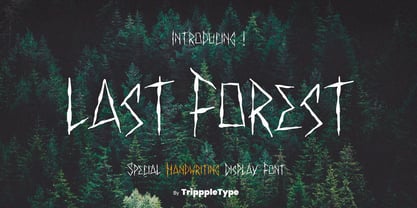 Last Forest Handwritten Font Poster 1