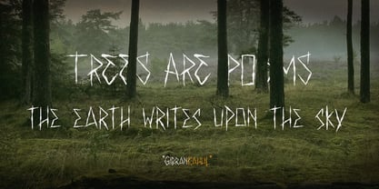 Last Forest Handwritten Font Poster 5