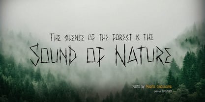 Last Forest Handwritten Font Poster 2