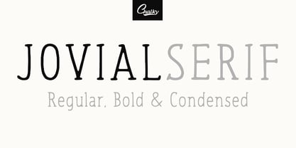 TC Jovial Pro Serif Font Poster 1