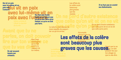 Caryotype Font Poster 11