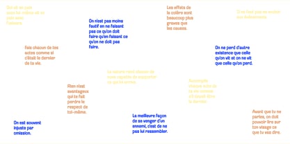 Caryotype Font Poster 5