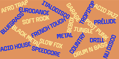 Caryotype Font Poster 7