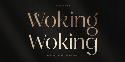 Woking Font Poster 1