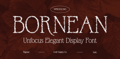 Bornean Unfocus Font Poster 1