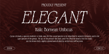 Bornean Unfocus Font Poster 4