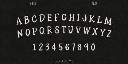 Seance Society Font Poster 2