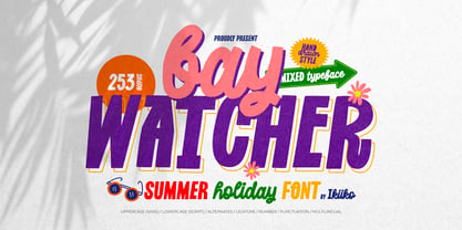 Bay Watcher Font Poster 1