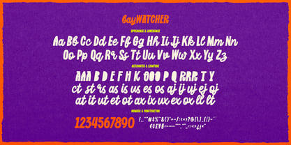 Bay Watcher Font Poster 6