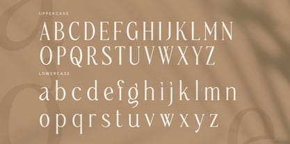 Quigra Font Poster 10