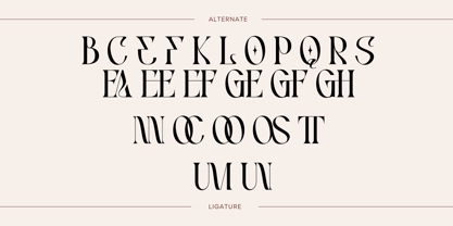 Xeola Font Poster 8