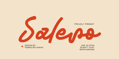 Salero Font Poster 1