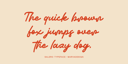 Salero Font Poster 6