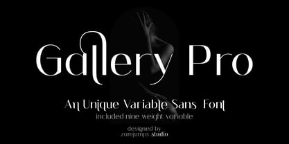 Gallery Pro Fuente Póster 1