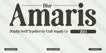 Amaris Blur Font Poster 1