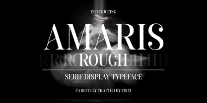 Amaris Rough Font Poster 1