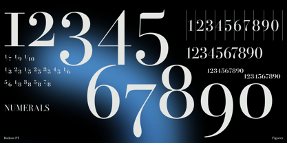 Bodoni PT Font Poster 8