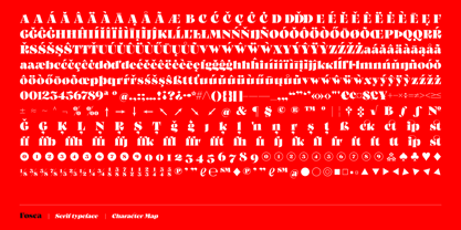 Fosca Font Poster 9