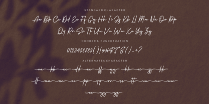 Hillstadts Signature Font Poster 7