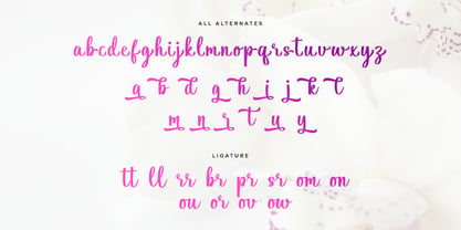 Hilyada Font Poster 6