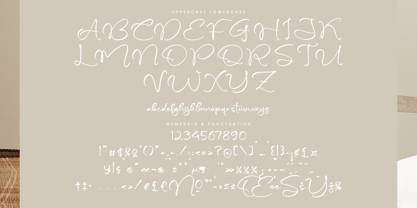 Beathovy Skiny Font Poster 13