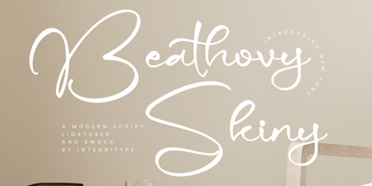 Beathovy Skiny Font Poster 1