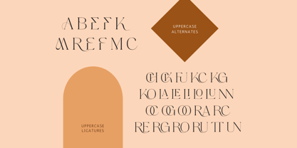 Gofak Classy Font Poster 9