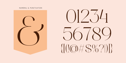 Gofak Classy Font Poster 8