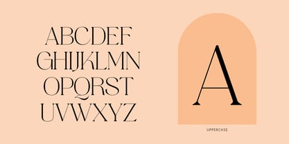 Gofak Classy Font Poster 3