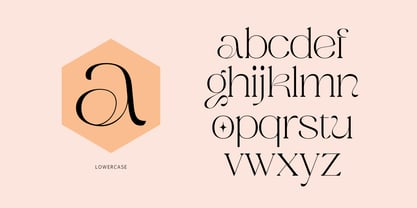 Gofak Classy Font Poster 4