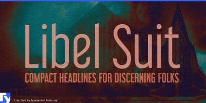 Libel Suit Font Poster 1