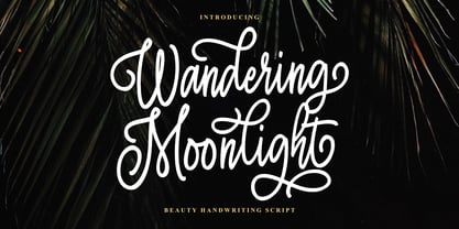 Wandering Moonlight Font Poster 1