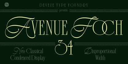 DT Avenue Foch Font Poster 1