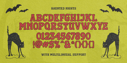 Haunted Night Font Poster 9