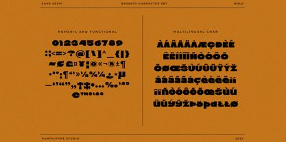 Baserio Font Poster 15