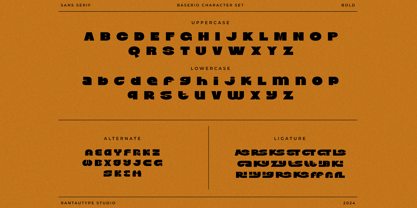 Baserio Font Poster 14