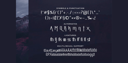 Adex Slab Font Poster 5