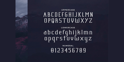 Adex Slab Font Poster 4