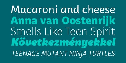 Trust Sans Font Poster 11