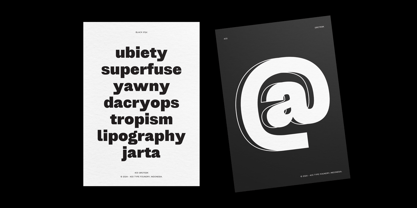 403 Grotesk Font Poster 8