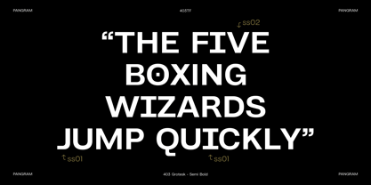 403 Grotesk Font Poster 2