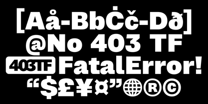 403 Grotesk Font Poster 3