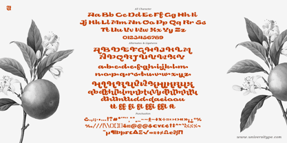 UT Niche Font Poster 6