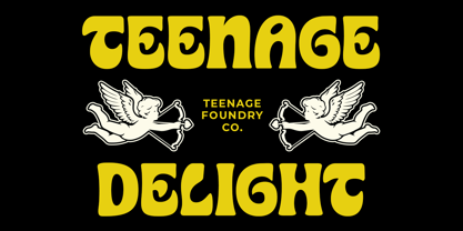 Teenage Delight Font Poster 1