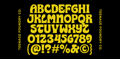 Teenage Delight Font Poster 5