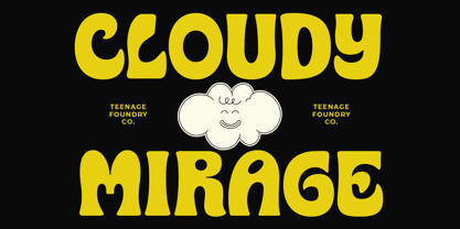 Teenage Delight Font Poster 4