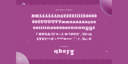 Maxie Font Poster 6