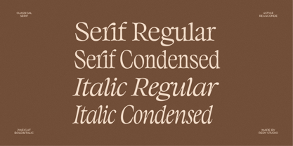 Classicel Serif Font Poster 8