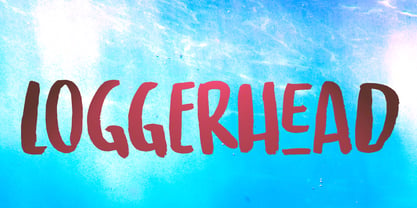 Loggerhead Font Poster 1